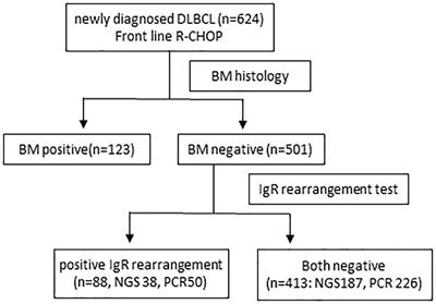 Clinical significance of bone marrow involvement by immunoglobulin gene rearrangement in de novo diffuse large B-cell lymphoma: a multicenter retrospective study